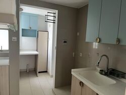 Mera Springs (D8), Condominium #581798511